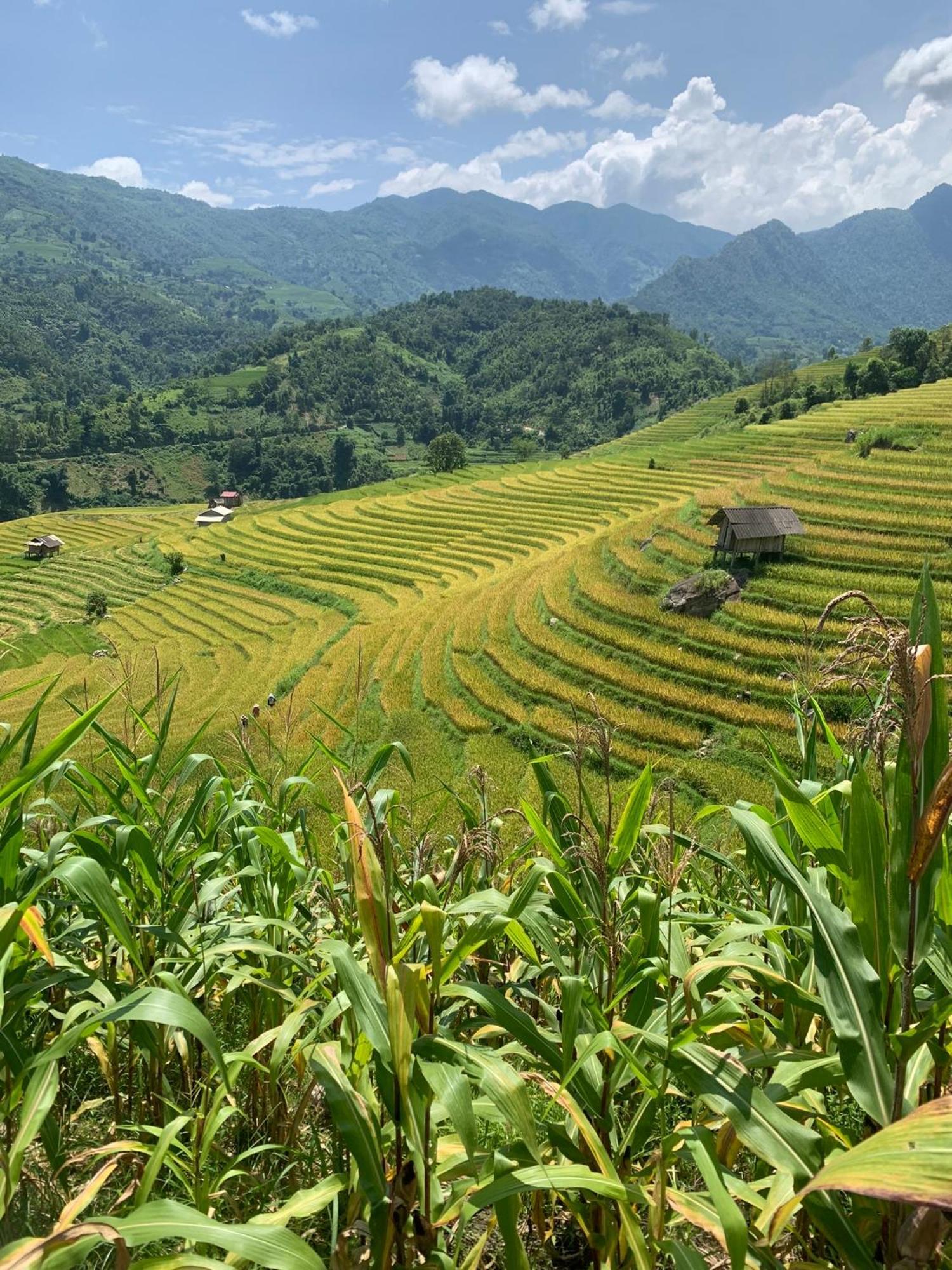 The Zen House Sapa Apartment ภายนอก รูปภาพ